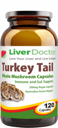 TurkeyTail-Front