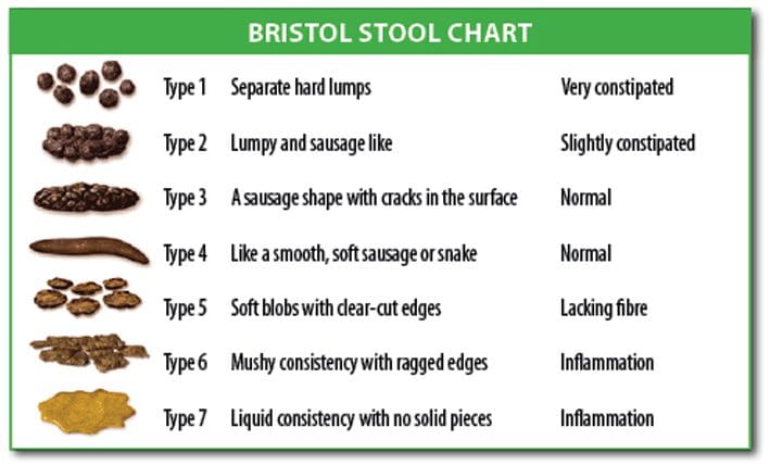 bristol stool chart 1