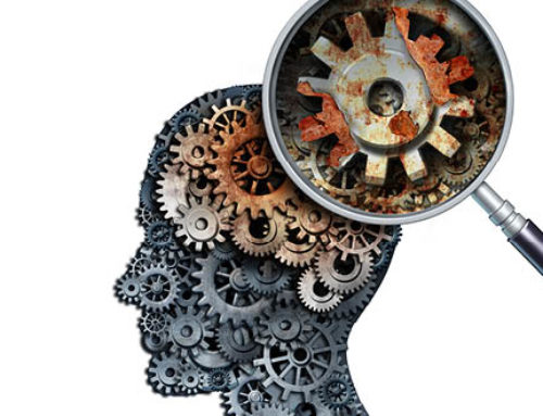 Vitamin B12 slows down brain aging