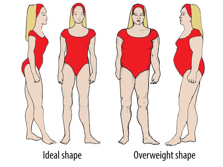 Sandra-Cabot-Android-Body-Shape