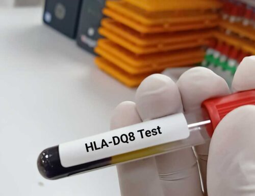 Genes That Predispose You To Gluten Intolerance – Understanding Your Blood Test Results