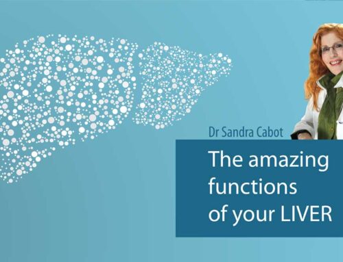All About The Liver – PART 2 The Amazing Functions Of Your Liver