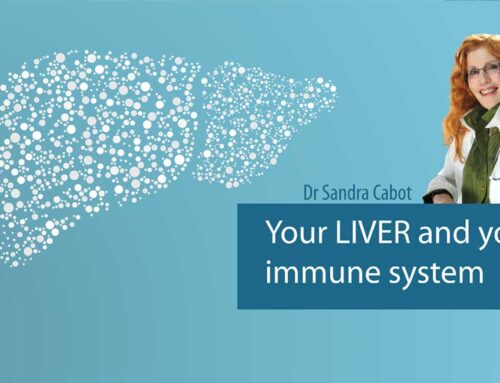 All About The Liver – PART 4 Your Liver And Your Immune System